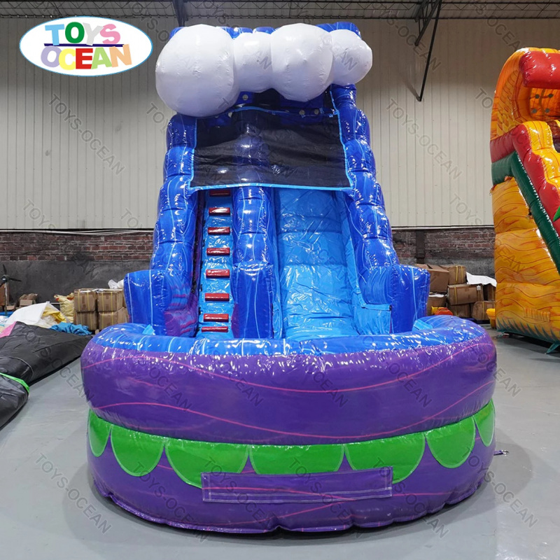 상업용 뒷마당 슬라이드 대여, 어린이와 성인용 수영장  - Water Slide Inflatable 리뷰 및 가격