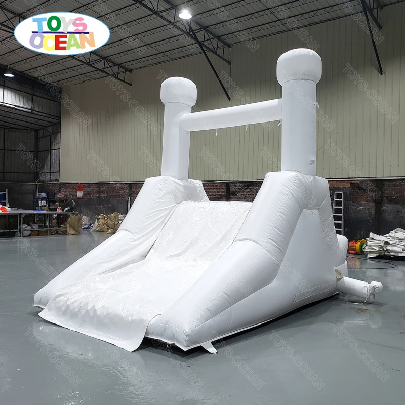 맞춤형 뒷마당 화이트 워터 슬라이드 성인용 풀 슬라이드 - Water Slide Inflatable 리뷰 및 가격